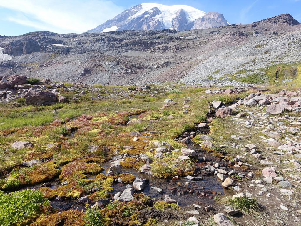 204 - 20150824 Mt Rainier