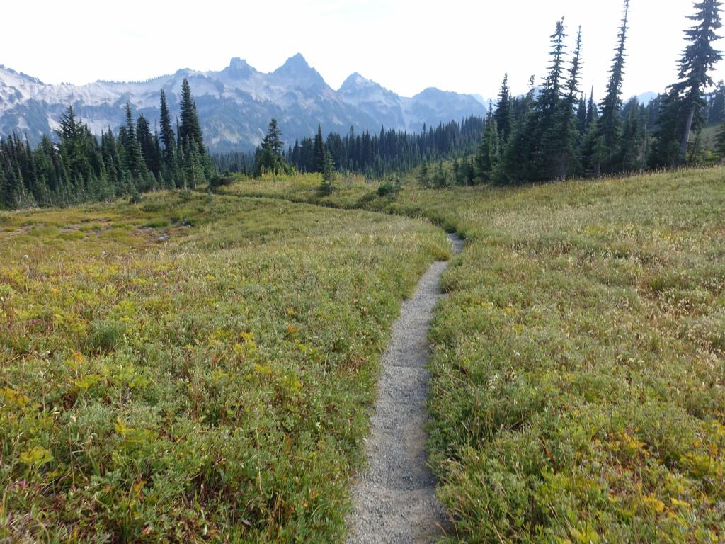 212 - 20150824 Mt Rainier