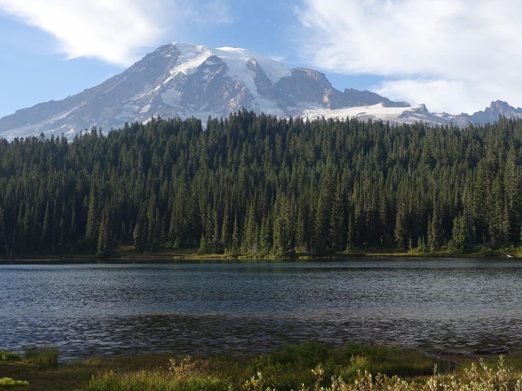 237 - 20150824 Mt Rainier