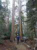 131 - 20151018 Mt San Jacinto SP