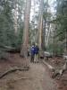 132 - 20151018 Mt San Jacinto SP