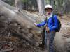 134 - 20151018 Mt San Jacinto SP