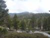 139 - 20151018 Mt San Jacinto SP