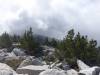 151 - 20151018 Mt San Jacinto SP