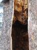 159 - 20151018 Mt San Jacinto SP