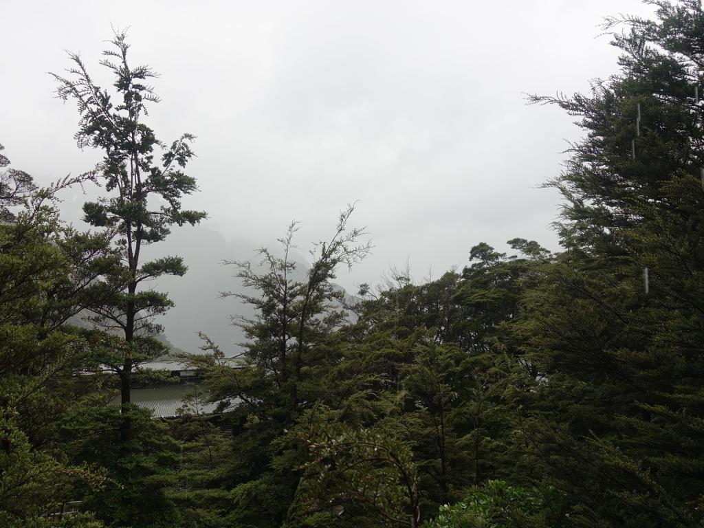 607 - 20190113 Routeburn Track Day3