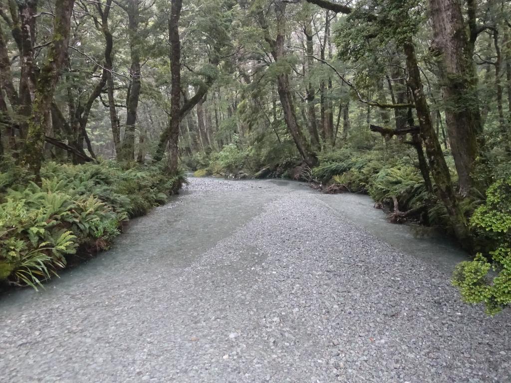 626 - 20190113 Routeburn Track Day3