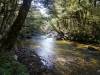 633 - 20190115 Kepler Track Day2