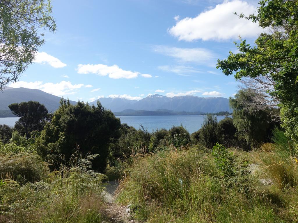 124 - 20190114 Te Anau