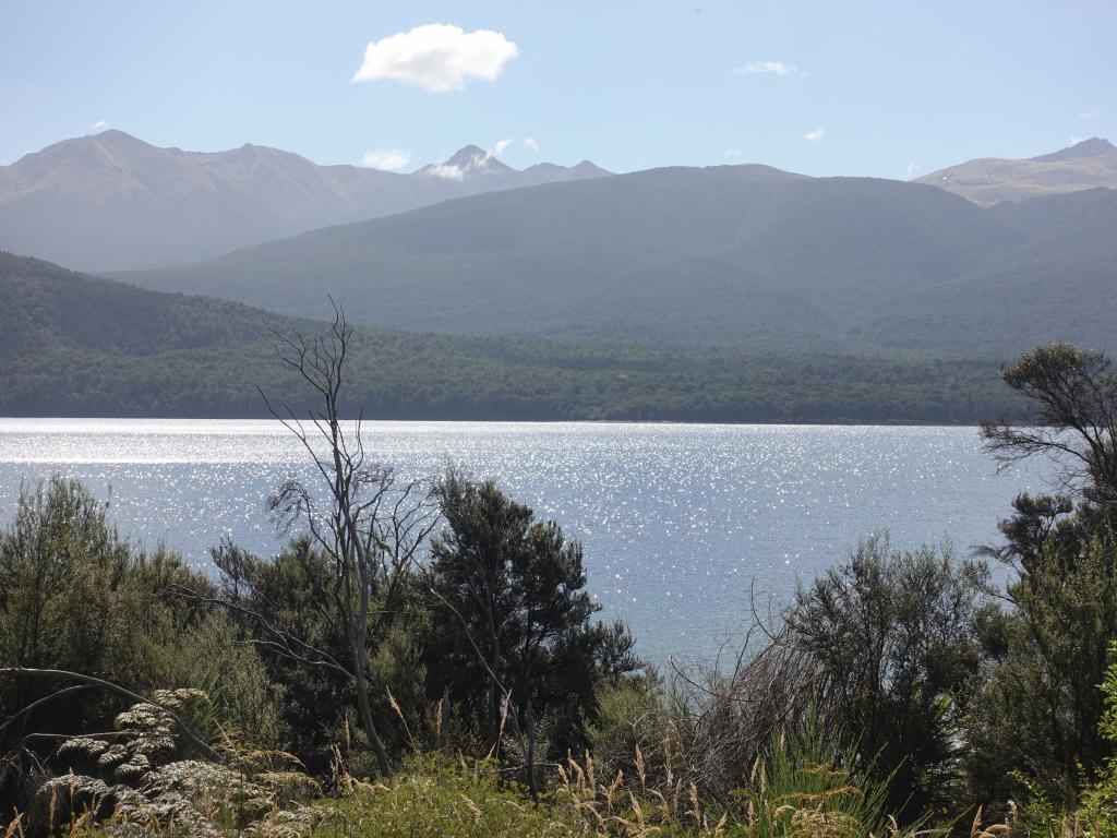 125 - 20190114 Te Anau