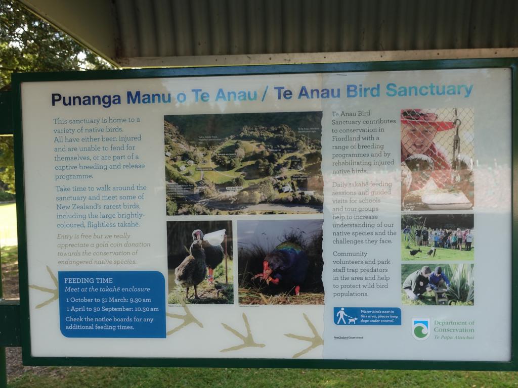 151 - 20190114 Te Anau Bird Sanctuary