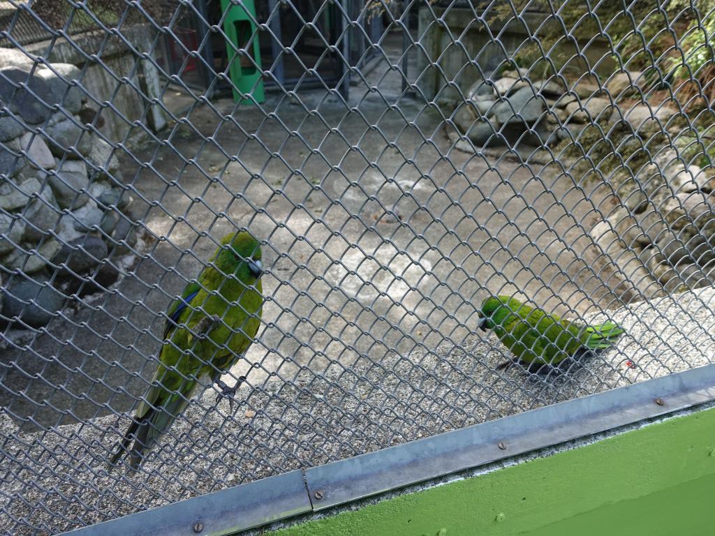 160 - 20190114 Te Anau Bird Sanctuary