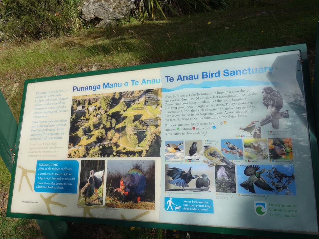 161 - 20190114 Te Anau Bird Sanctuary