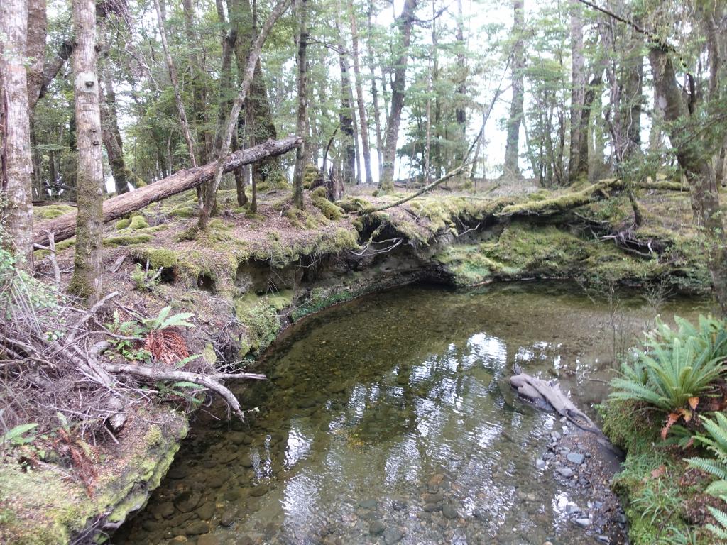 230 - 20190115 Kepler Track Day1