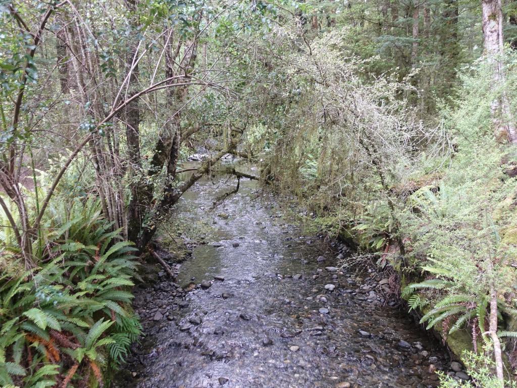 231 - 20190115 Kepler Track Day1