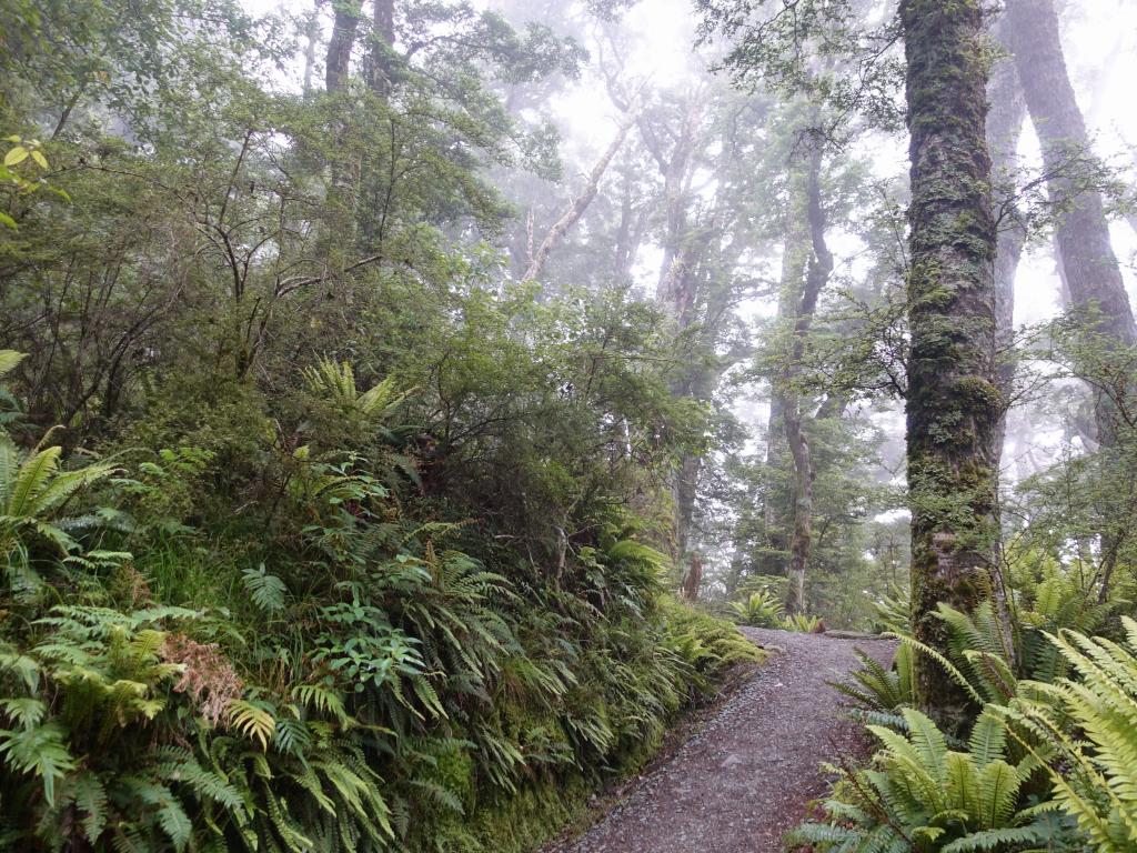 241 - 20190115 Kepler Track Day1