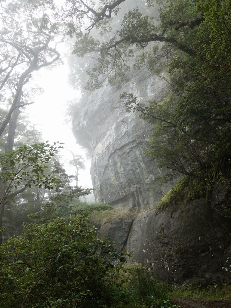 244 - 20190115 Kepler Track Day1