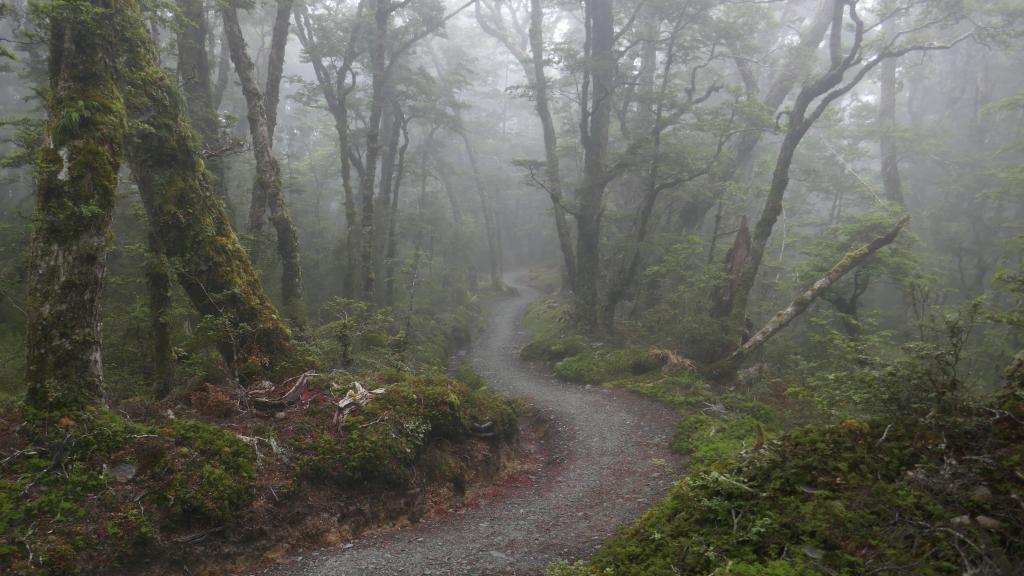 250 - 20190115 Kepler Track Day1