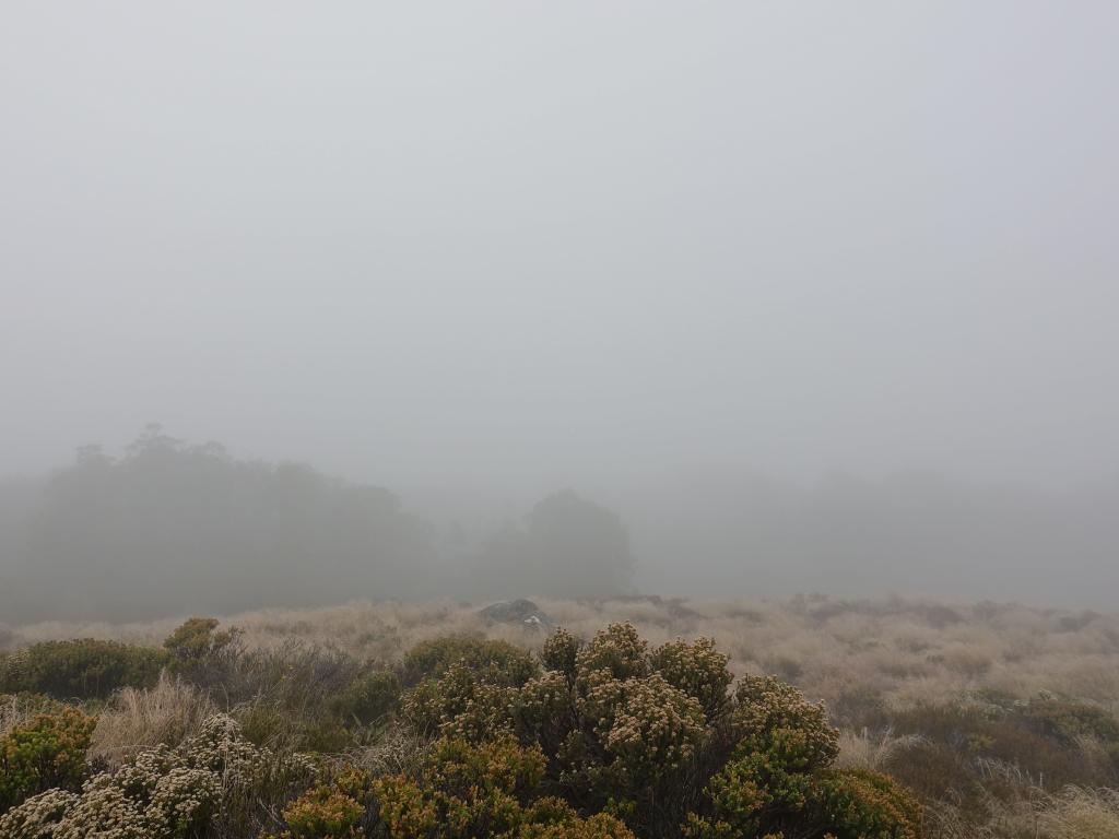 254 - 20190115 Kepler Track Day1