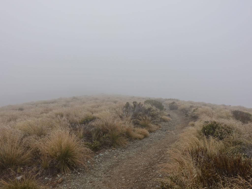 255 - 20190115 Kepler Track Day1