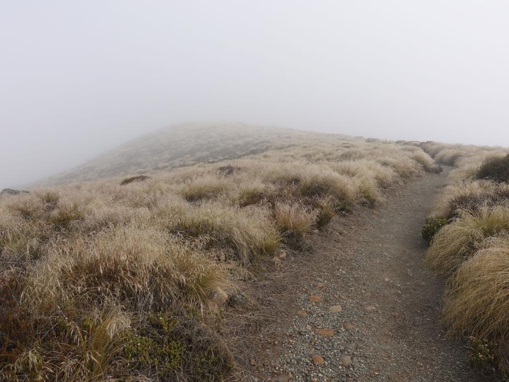 257 - 20190115 Kepler Track Day1