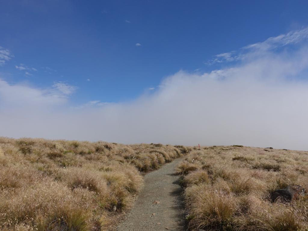 259 - 20190115 Kepler Track Day1