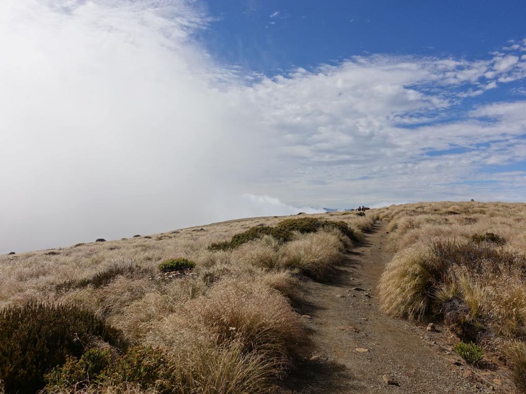 262 - 20190115 Kepler Track Day1