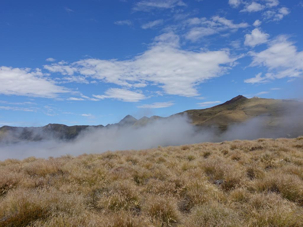 264 - 20190115 Kepler Track Day1