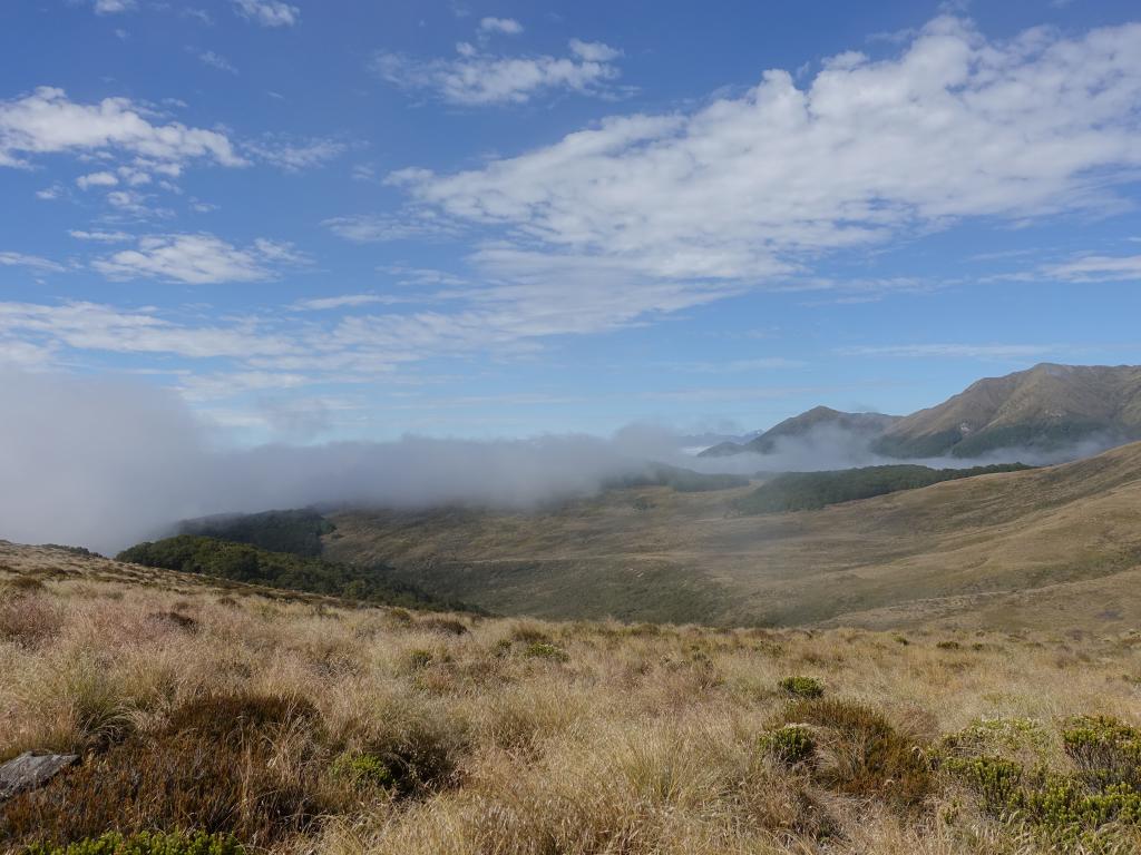 267 - 20190115 Kepler Track Day1