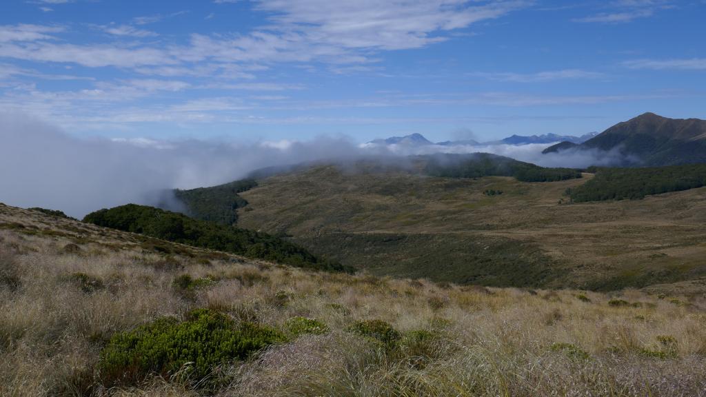 271 - 20190115 Kepler Track Day1