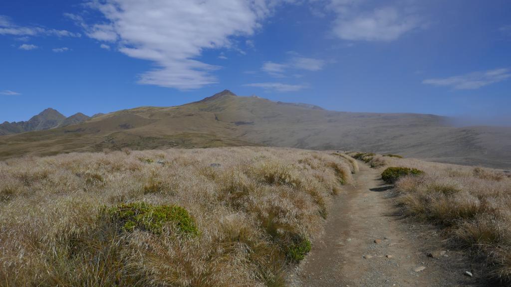 272 - 20190115 Kepler Track Day1