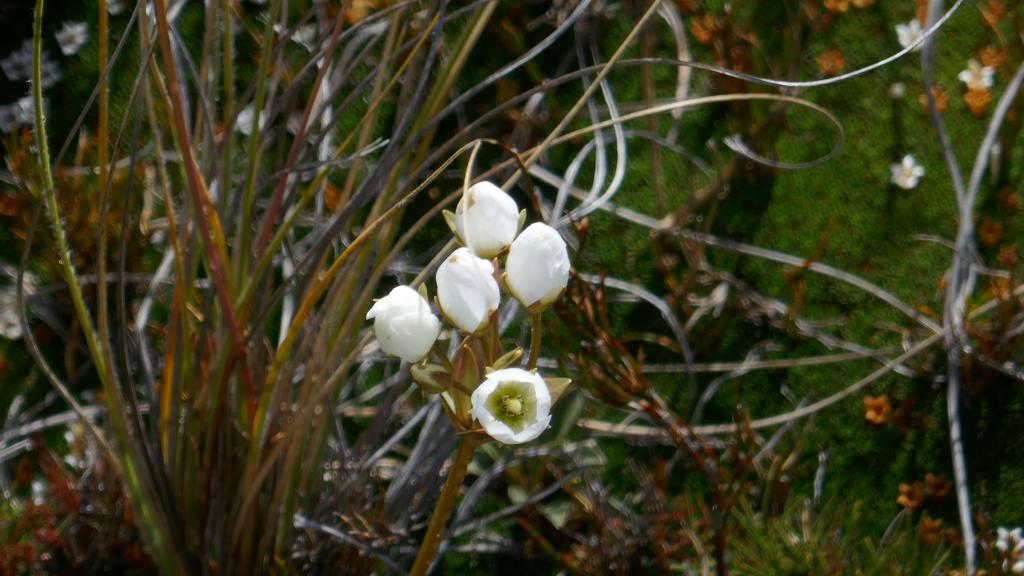 280 - 20190115 Kepler Track Day1