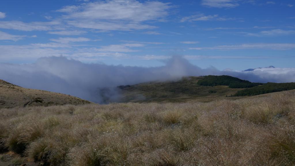 282 - 20190115 Kepler Track Day1