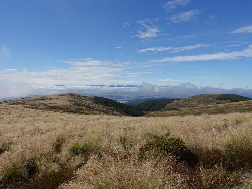 301 - 20190115 Kepler Track Day1