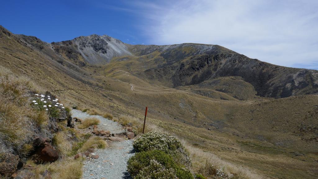 360 - 20190115 Kepler Track Day1