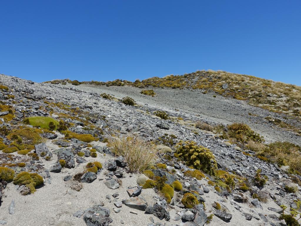 384 - 20190115 Kepler Track Day1