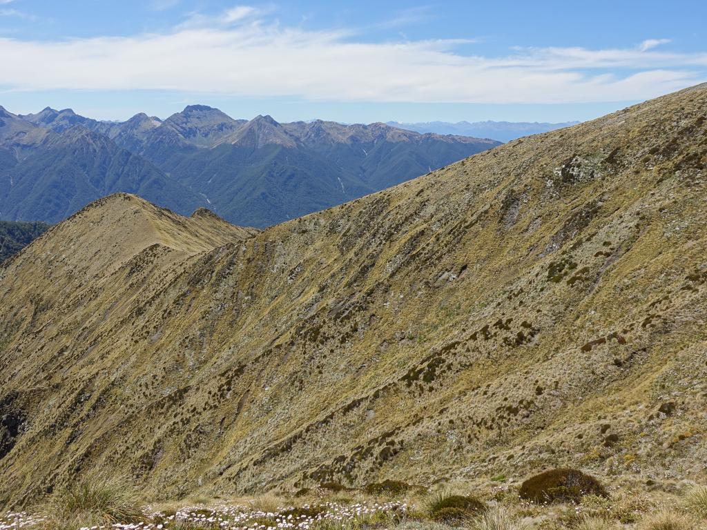 385 - 20190115 Kepler Track Day1