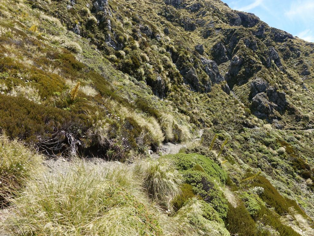 402 - 20190115 Kepler Track Day1