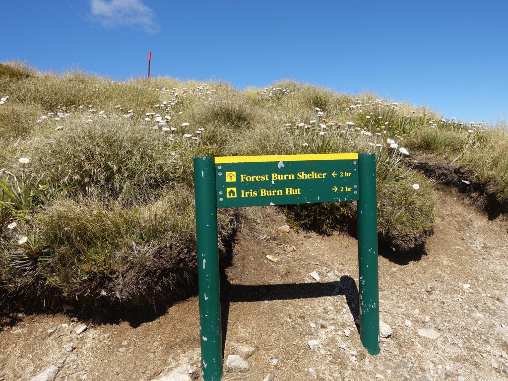 427 - 20190115 Kepler Track Day1