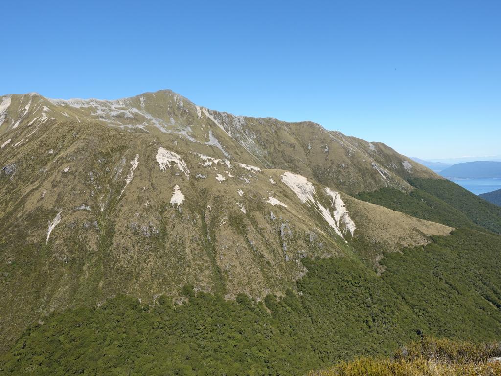 449 - 20190115 Kepler Track Day1