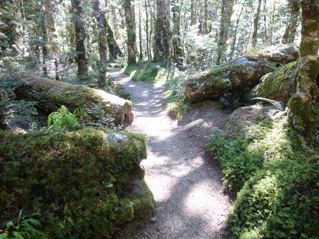 460 - 20190115 Kepler Track Day1