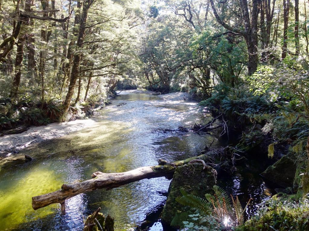 478 - 20190115 Kepler Track Day1