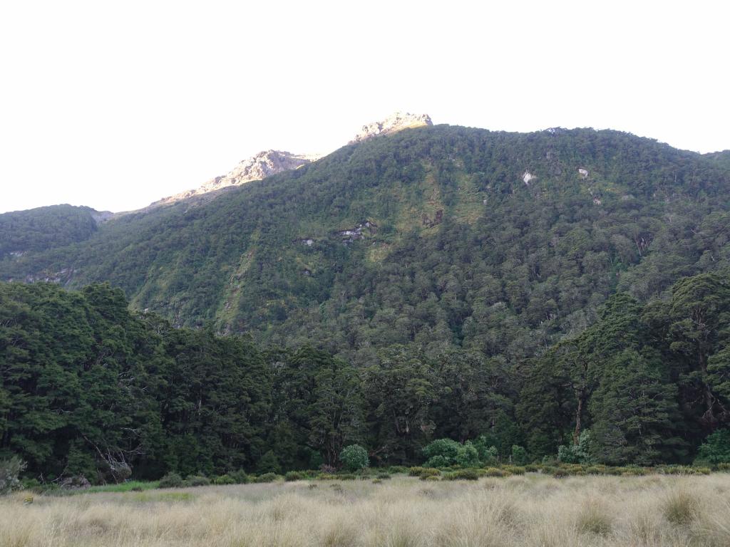 528 - 20190115 Kepler Track Day1