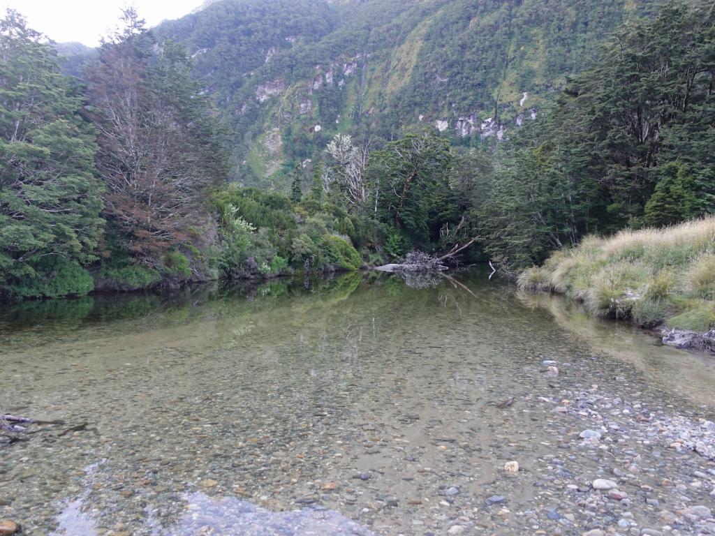 531 - 20190115 Kepler Track Day1