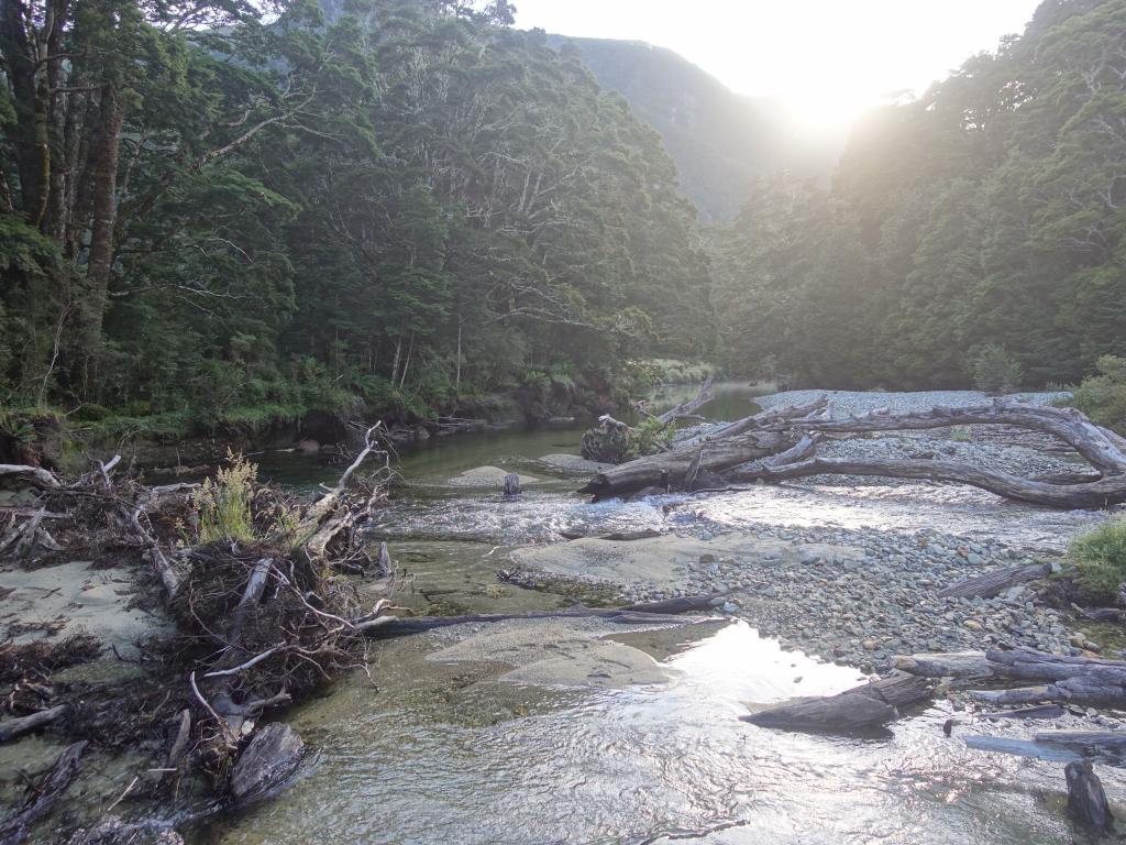 602 - 20190115 Kepler Track Day2