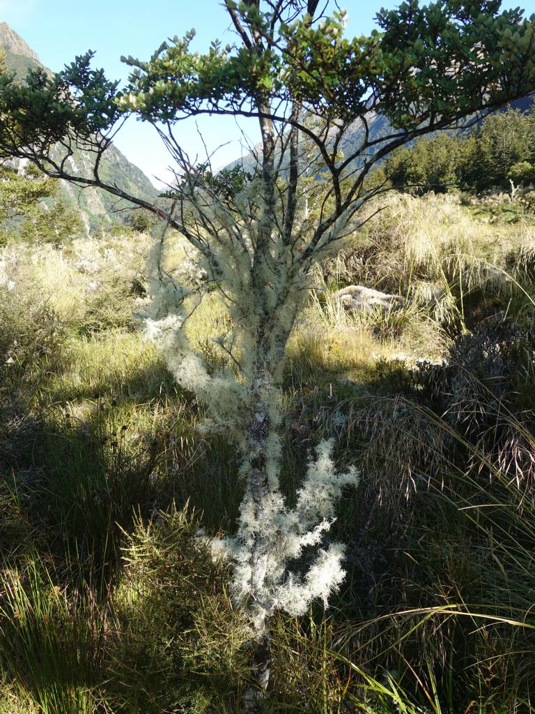 629 - 20190115 Kepler Track Day2