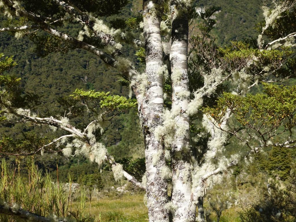 630 - 20190115 Kepler Track Day2