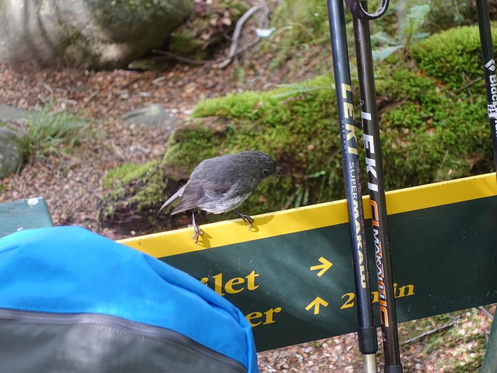 650 - 20190115 Kepler Track Day2