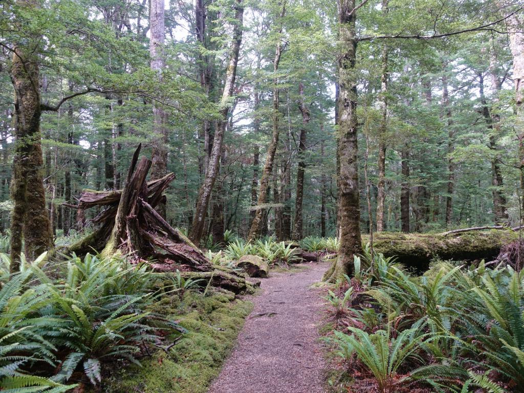 657 - 20190115 Kepler Track Day2