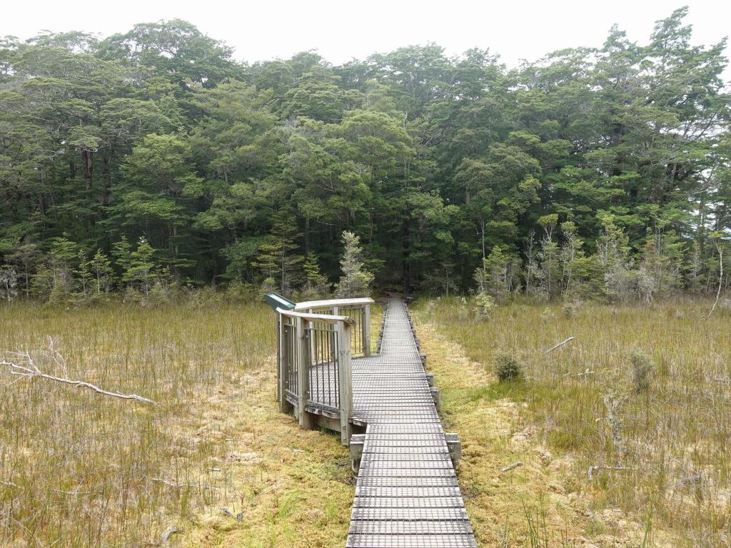 679 - 20190115 Kepler Track Day2